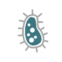 Ebs Amoeba Sticker by Erindale Biology Society