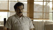 narcos pablo GIF by NETFLIX