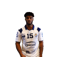 Sport Celebration Sticker by Massy Essonne Handball