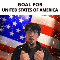 United States Of America GIF