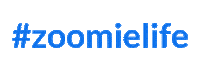 Lifeatzoom Sticker by Zoom