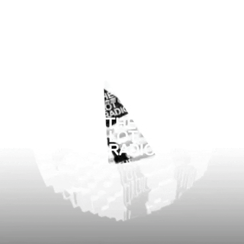 Black And White 3D GIF by The Lot Radio
