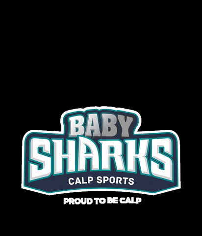 proudobeCALP giphygifmaker sharks baby shark calp GIF