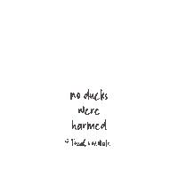fossachocolate bird tea chocolate chicken Sticker