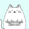 Happy White Cat GIF by MESA My Emotional Support Animal