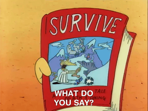rockos modern life nicksplat GIF