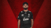 Werder Predator GIF by Bundesliga