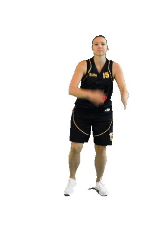 Houilles Sticker by SOH Basketball