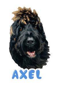 Dog Axel Sticker