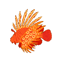 Fish Pez Sticker