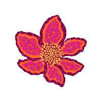 Flower Febrero Sticker
