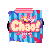 Chao Sticker