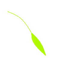 Planta Flora Sticker