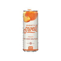 Peach Seltzer Sticker by Mighty Swell
