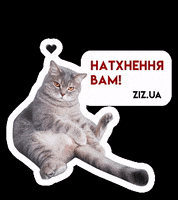 ziz-ua ziz zizua GIF