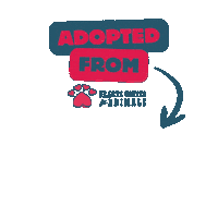 AriHUA adopted going home hua just adopted Sticker