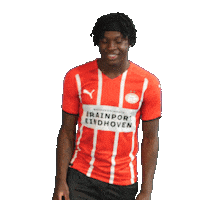 Football Celebrate Sticker by PSV