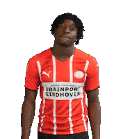 Football Celebrate Sticker by PSV