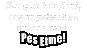Mnks Pozitif Sticker