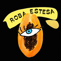somrobaestesa reaction girl cool text GIF