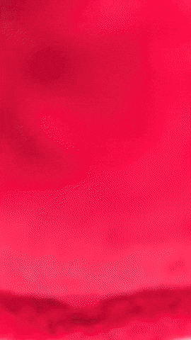 Chopper Plushie GIF by Youtooz