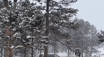 Snowstorm Sweeps Through Central Colorado