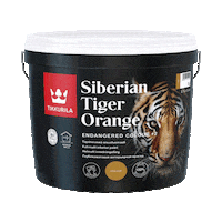 Design Colors Sticker by tikkurila