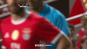 Sl Benfica Nod GIF by Sport Lisboa e Benfica