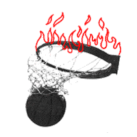 Sport Basketball Sticker by Miami HEAT