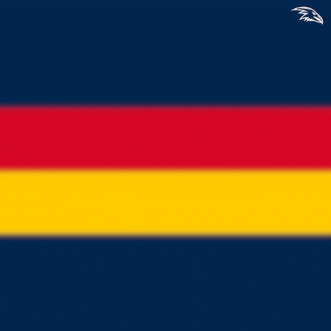 Afl GIF by Adelaide Crows