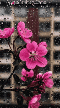 Feliz Disfruta GIF by Murcianys LLC