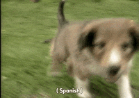 video puppies GIF by South Park 