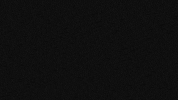 adg800 union solidarity union strong unionstrong GIF