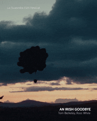 AN IRISH GOODBYE