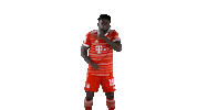 Happy Football Sticker by FC Bayern Munich