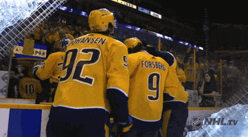 happy ice hockey GIF by NHL