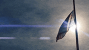 american flag trailer GIF by NEON