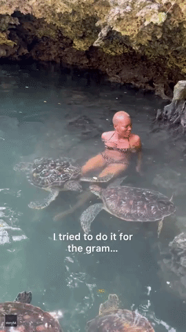Woman Terrified as She Swims With Sea Turtles