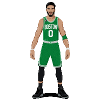 Boston Celtics Basketball Sticker by Panini America