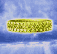 ewanjonesmorris dowager ewanjonesmorris ewan jones morris annameredith GIF