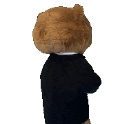Big Red Bear Sticker by Touchdown's Team