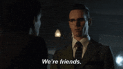 mad city fox GIF by Gotham