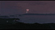 Holiday Adventure GIF by FilmDoo