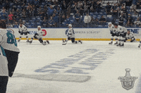 ice hockey sport GIF by NHL