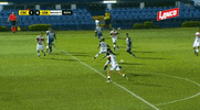 GIF by TD Más