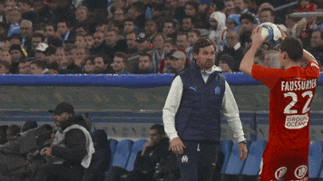 Stop It Andre Villas Boas GIF by Olympique de Marseille