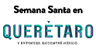 Qro Sectur Sticker by Some Marketing