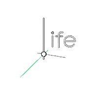 Life Vida Sticker