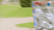 Happy Fun GIF by Mola TV Kids