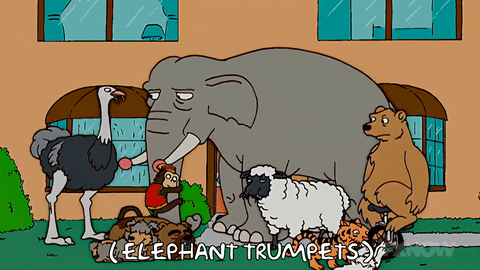 Episode 2 Circus Animals GIF by The Simpsons